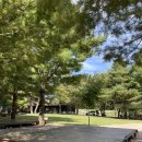 진부(오대산)관광농원 이미지