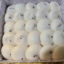 (주)안양ESC 이미지