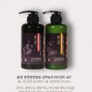 닛시레