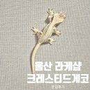 학생슈퍼 | 울산 파충류샵 라케샵 크레스티드게코 분양 전문 두번째 게코 입양후기 초등선물 추천