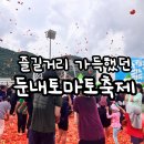 명품 체험장 | 횡성 둔내 토마토축제 후기, 아이들이 하루 종일 신났던 토마토축제
