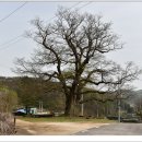 수락영당 이미지