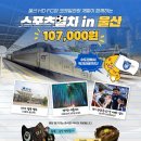 &#39;기차+축구+맛집+관광지&#39; 울산 HD, 코레일관광개발과 &#39;가을 축구 여행&#39; 상품 출시! 이미지