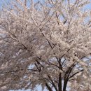 강서체육공원 이미지