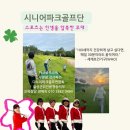 군위농업인 | 라운딩 반짝이는 불빛 라운딩 경주 쉐르빌 야간 라운딩 친선경기 다누리파크골프 의성 군위 안동 지부