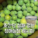 다압가스 | 청매실 매실청 만들기 / 실패 없는 초간단 매실청 레시피 / 매실청 플라스틱통에 만들어도 되나요?