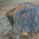 대구제일중학교 이미지