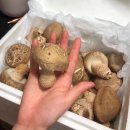 미석농장 이미지