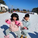 채정푸드 | 대명 리조트 비발디파크 소노벨 A동 스노위랜드 오션월드 스키장 숙소 냉장고