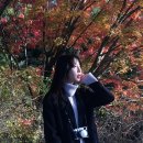놀부광고디자인