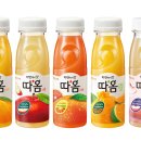 따옴