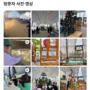 최강자농장 | [딸기체험 총정리] 남양주·용인·인천 어디로 갈까? 육아맘 강추 딸기농장 3선