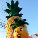 분동농장2 이미지