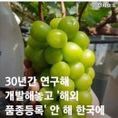 ◆원자로와 샤인머스캣 이미지