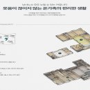 엘리체
