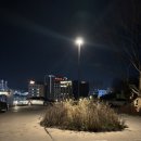 석산 | [목포 카페 석산] 슈톨렌, 크리스마스 음료 솔직후기