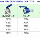 아남산업 Daum카페