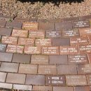 마로니파크 이미지