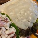 물만난오징어 이미지