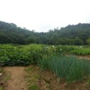 해암농장 | [안산시] 수암동 둘러보기 -2편-