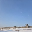 찬스포유