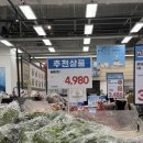 2026년 3월 1주 : 실패한 봄동비빔밥