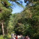 온양제일유치원 이미지