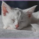 강남한의원 이미지