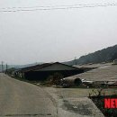 이 가축병원 이미지