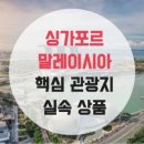 세주여행사