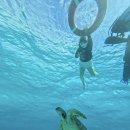 딥 다이브 크루 | 물공포증 있던 저의 프리다이빙 psa2 후기｜저스트다이브 프리다이빙[justdivefreediving]