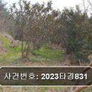 구산면550 이미지