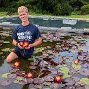 링 오브 파이어 하디 수련(Ring of Fire Hardy Water Lily) 이미지