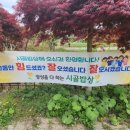 시골밥상펜션 이미지