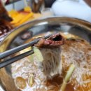 소&돼지야놀아보세