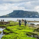 성산.오조 지질트레일 이미지