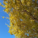 장전초등학교 이미지