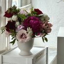 뉴욕센트럴치과 | MAY, 2025