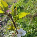 고흥사랑민박 이미지