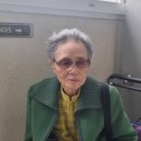 무지랭이 | 비오는 날 당근모임 무지랭이 계곡 걸었어요.
