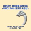 [내돈내산 육아템] 옆잠 아기 필수템, 라비킷 라이너루프트 커들업 베개 후기