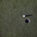 버디골프스쿨 이미지