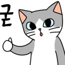 한끼멍냥 네이버블로그