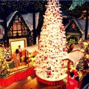 ㈜투어마켓 이미지