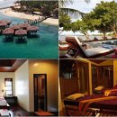 (주)자유투어 이미지