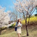 오정연 카카오 검색결과