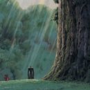 포레스트안경 이미지