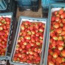 동그라미농장 이미지