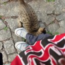 세븐일레븐 경희기숙사점 | 김알세 마카오 정복기