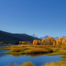 주사무소 이미지